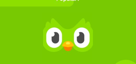 Meet The Duolingo Owl How It Became So Popular