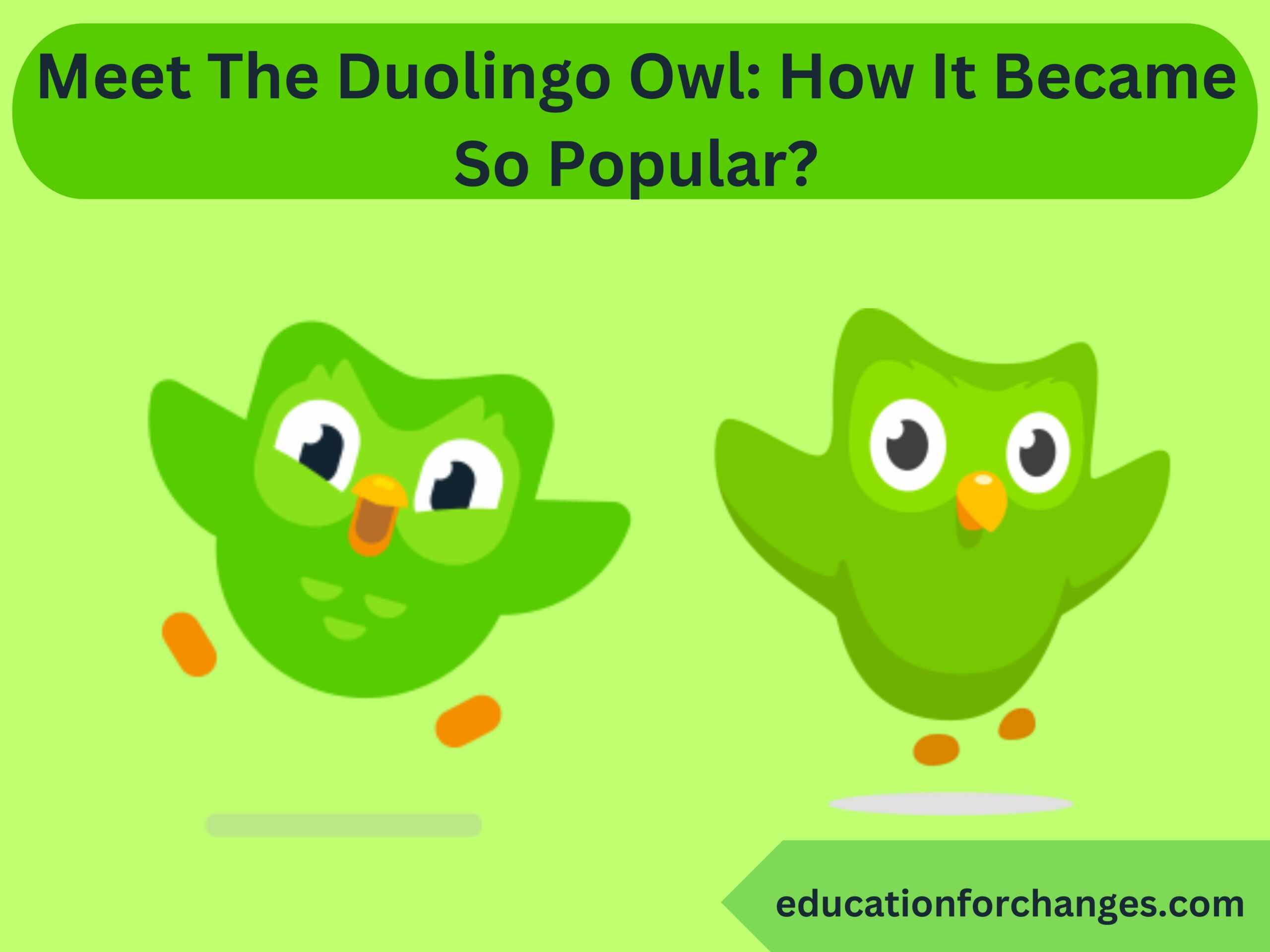 Meet The Duolingo Owl How It Became So Popular