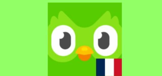 Learning French with Duolingo