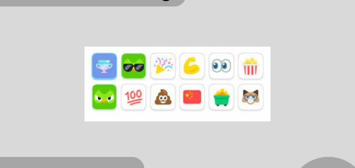 Duolingo Status Icons Explained & How To Change Them