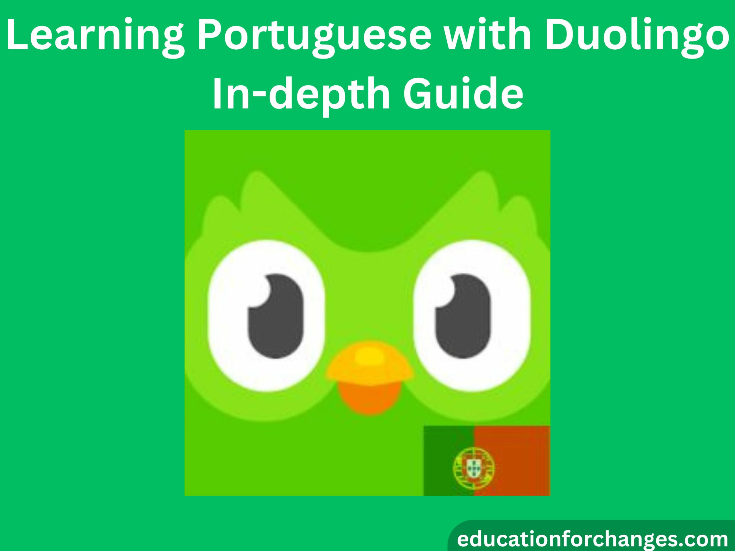 Learning Portuguese with Duolingo In-depth Guide
