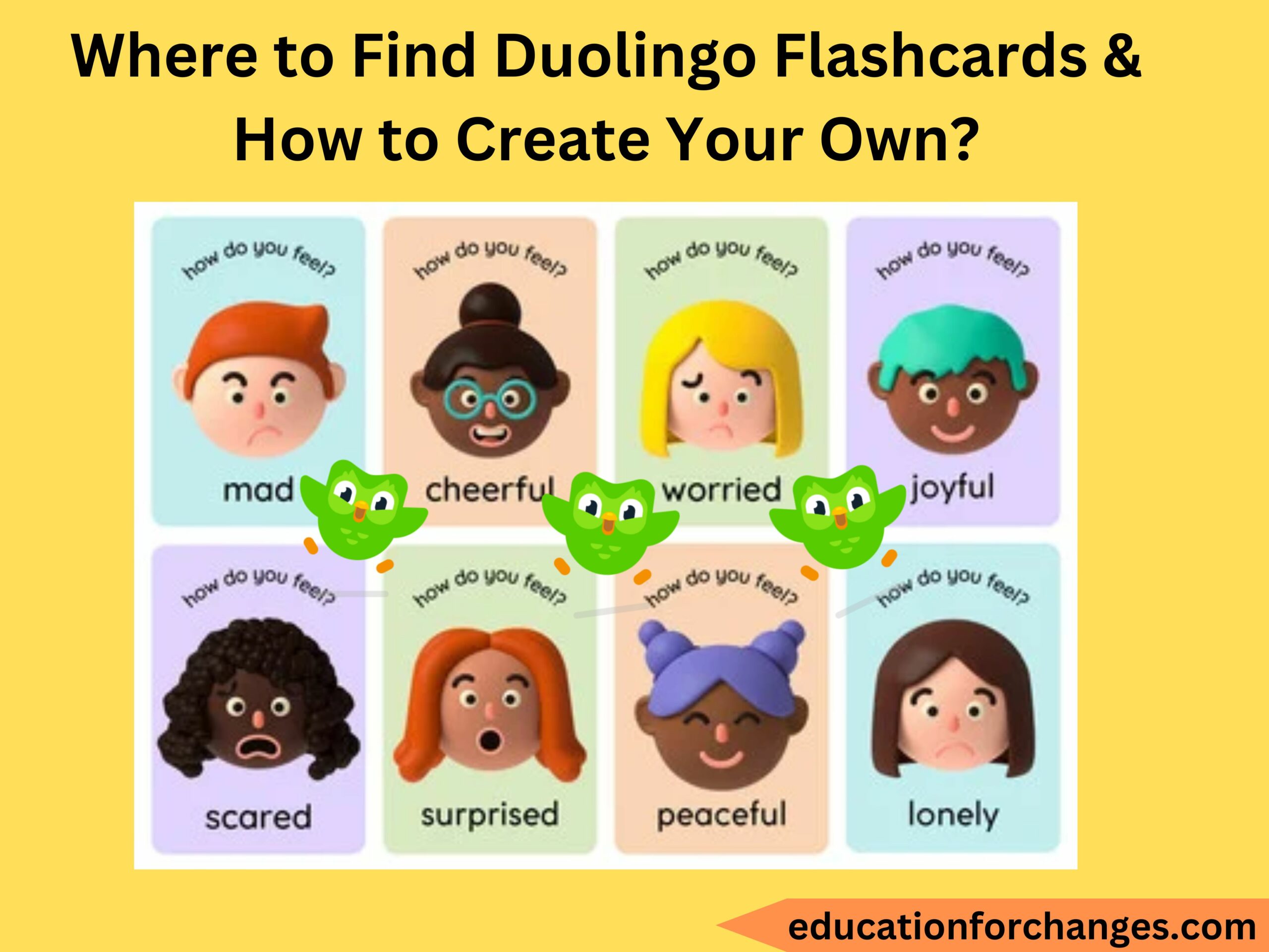 Where to Find Duolingo Flashcards & How to Create Your Own