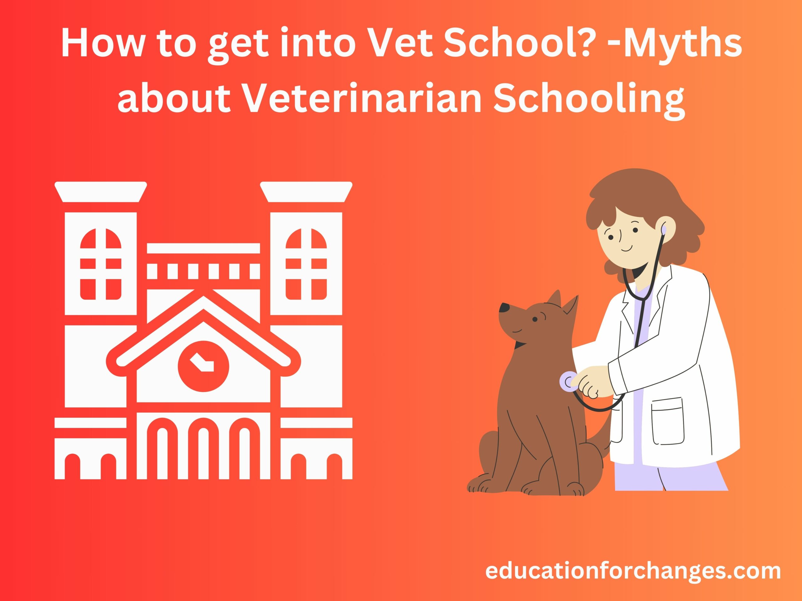 How to get into Vet School? -Myths about Veterinarian Schooling