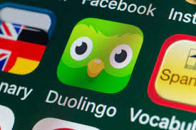 Duolingo Norwegian Vocabulary List for Free in 2024 