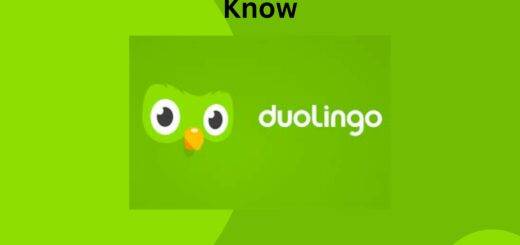 Duolingo Basics What You Need to Know