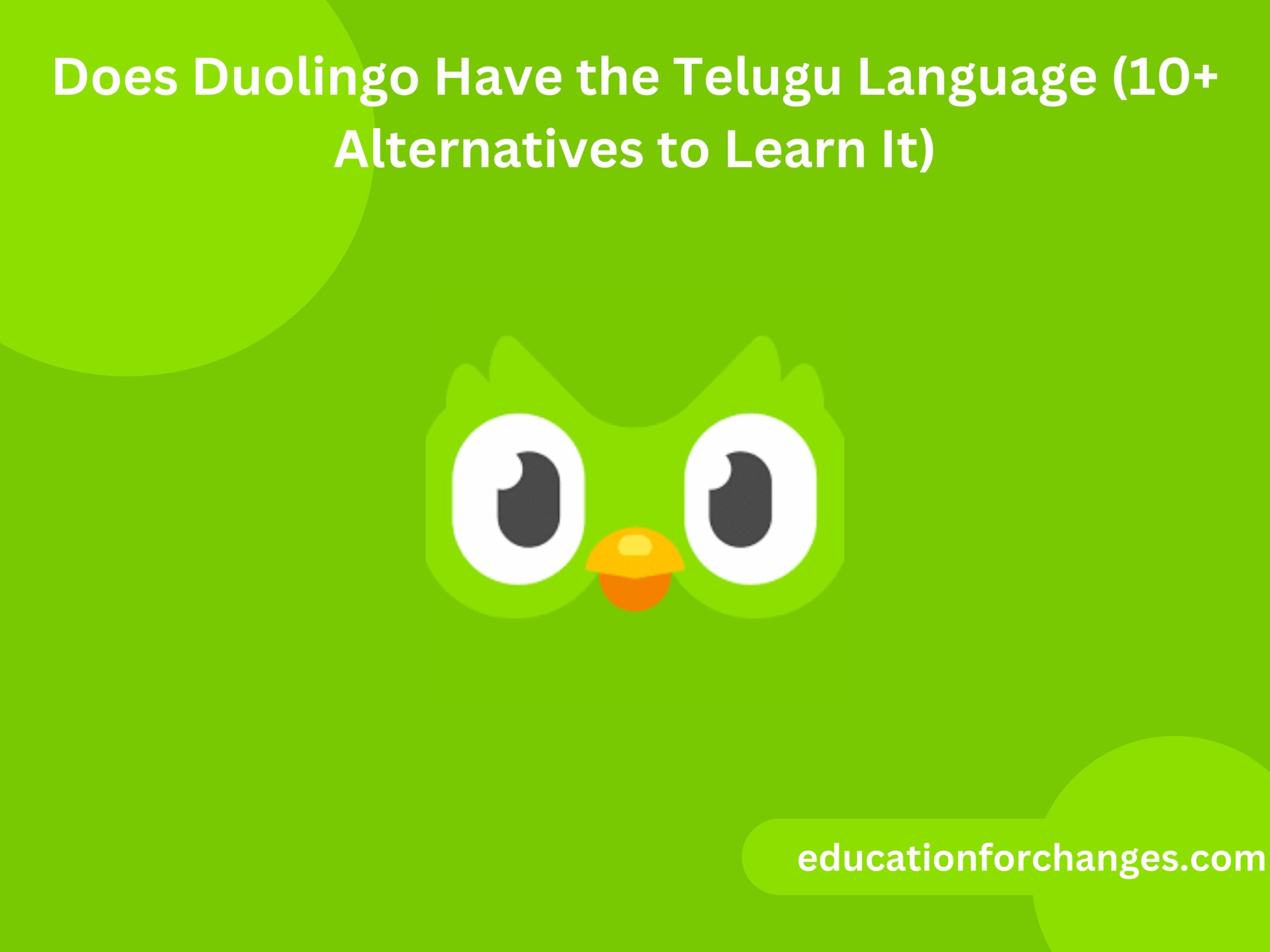 Does Duolingo Have the Telugu Language (10+ Alternatives to Learn It)