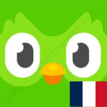 Learning French with Duolingo