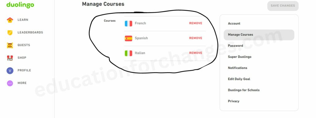 How to Remove a Language Course on Duolingo? (Step-by-Step Guide)