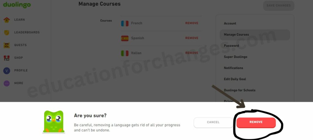 How to Remove a Language Course on Duolingo? (Step-by-Step Guide)