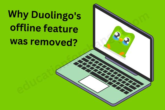 How to Use Duolingo Offline