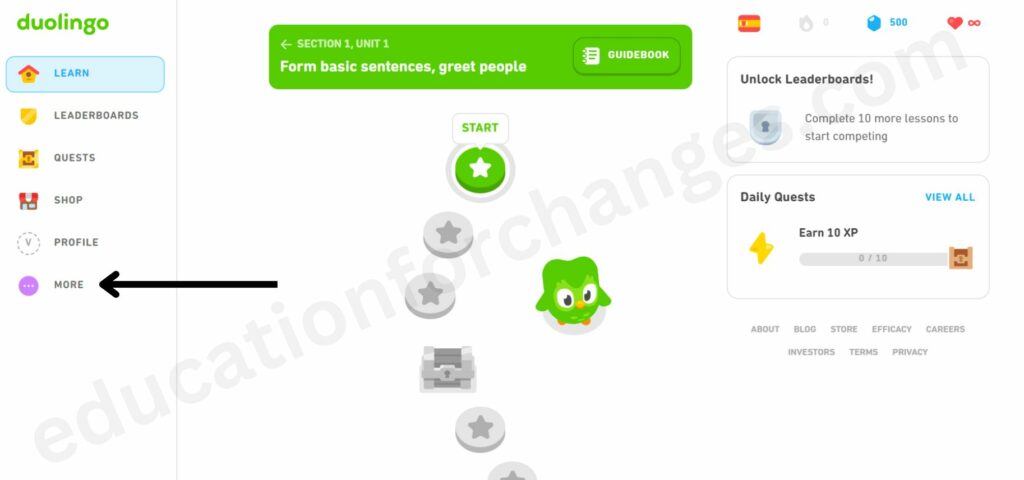 How To Contact Duolingo Customer Service Easily? (Step-by-Step Guide)